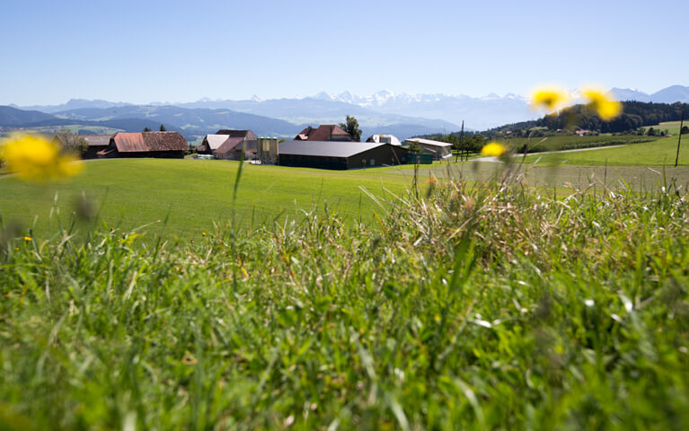 Au plus proche des producteurs